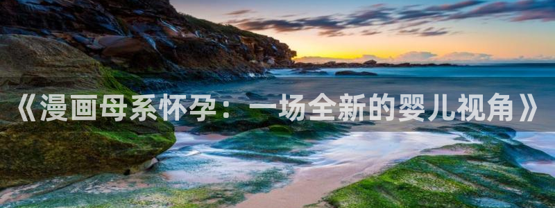 汗汗漫画家教老师：《漫画母系怀孕：一场全新的婴儿视角》