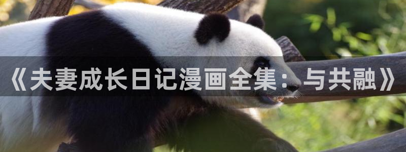 汗汗漫画.：《夫妻成长日记漫画全集：与共融》